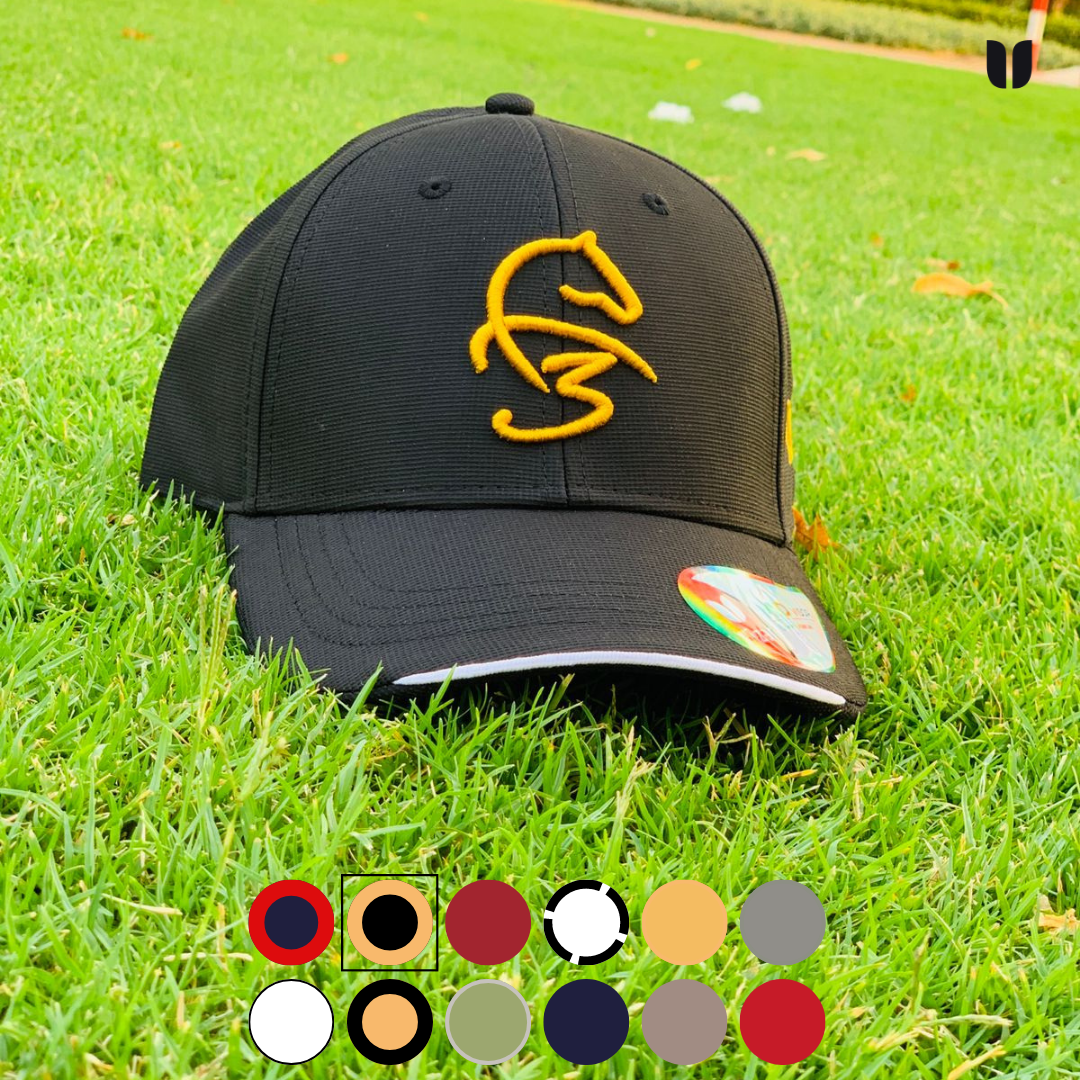 F3 Cap Colors Black & Gold